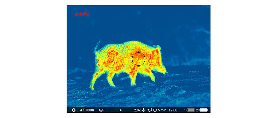 прицельная сетка Pulsar Thermion 2 LRF XQ50 Pro